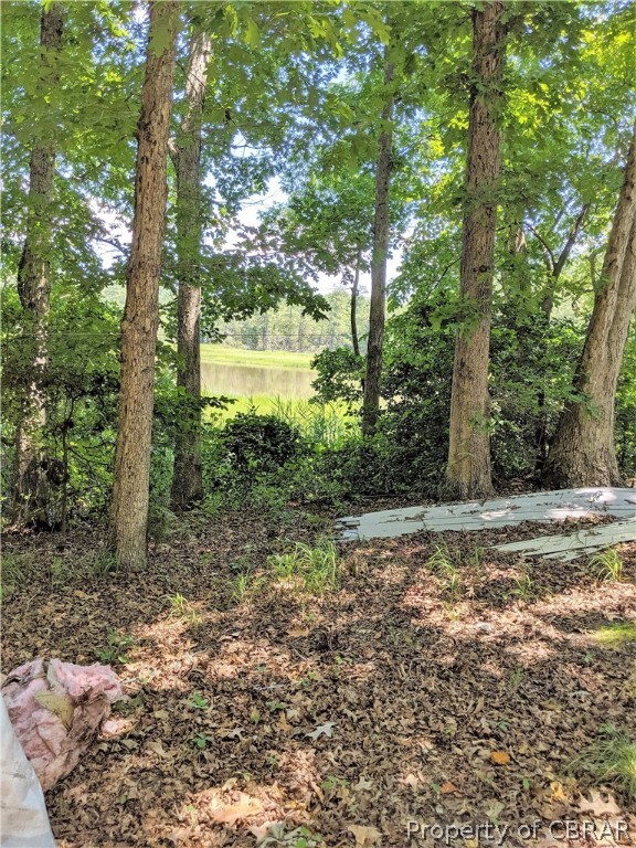 3938 Paradise Point Road Hayes, VA 23072 - Photo 6 of 30 Gallery Image 6