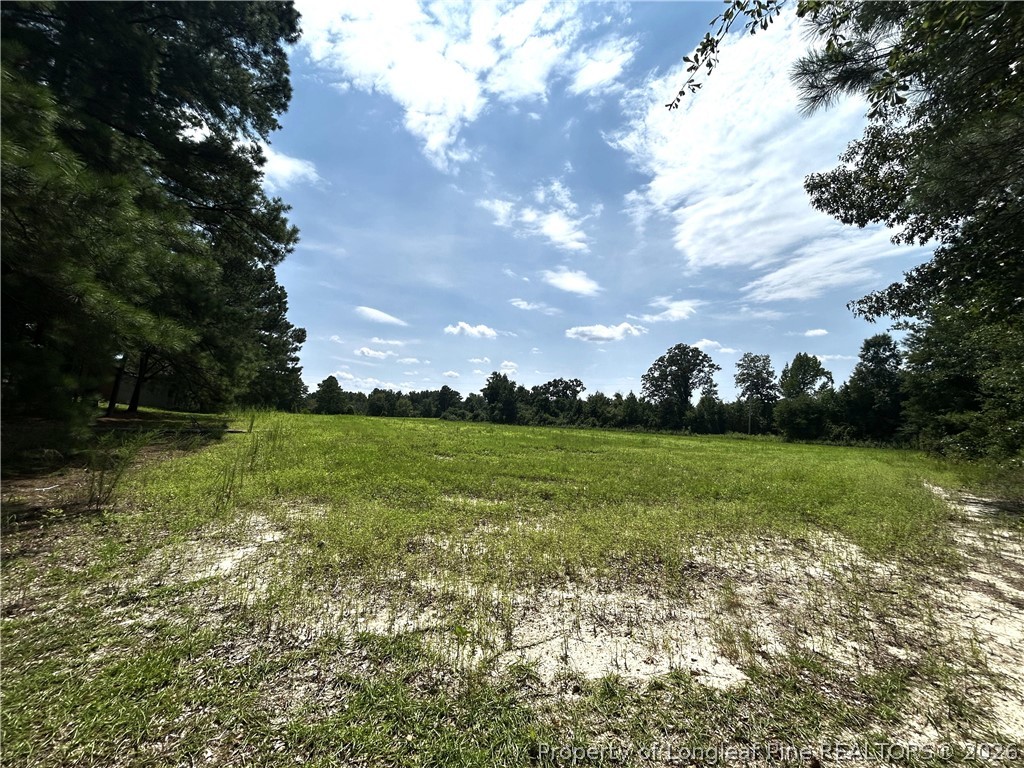 684 Pilson Road Cameron, NC 28326 - Photo 14 of 22 Gallery Image 14