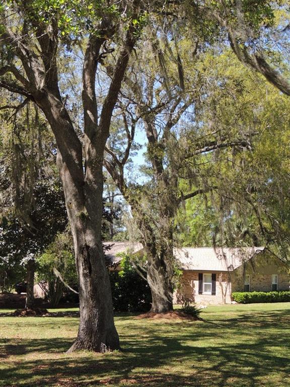 6201 Williams Road Tallahassee, FL 32311 - Photo 34 of 36 Gallery Image 34