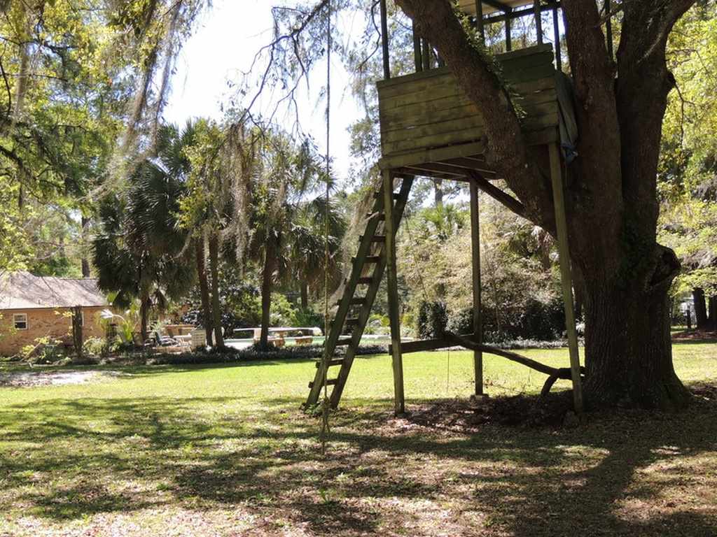 6201 Williams Road Tallahassee, FL 32311 - Photo 10 of 36 Gallery Image 10