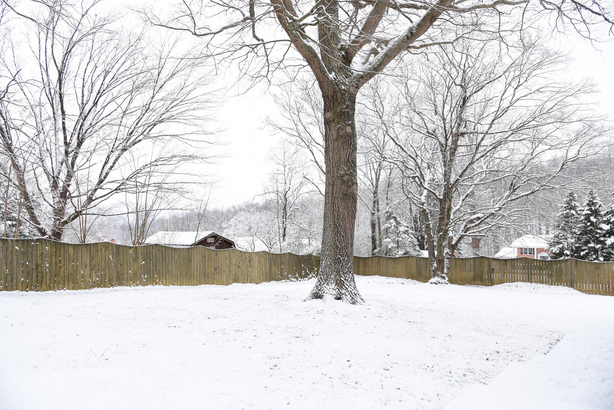 28 Spruce Circle Blue Ridge, VA 24064 - Photo 34 of 36 a street view covered with snow