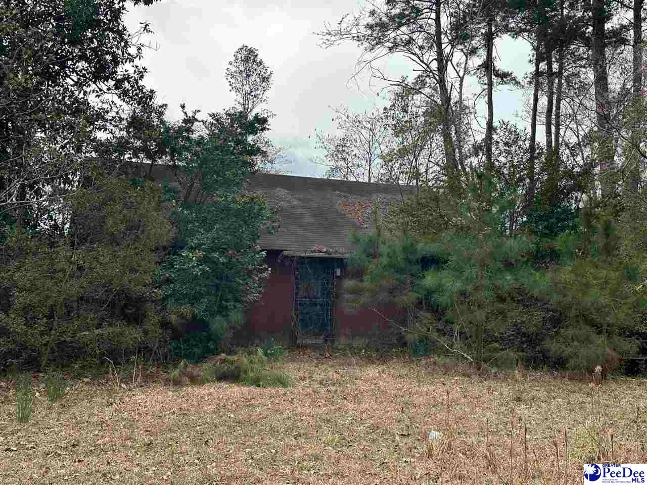 331 Lookout Court Marion, SC 29571 - Photo 2 of 6 Gallery Image 2