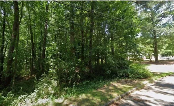 a view of a forest with trees