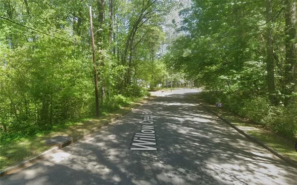 a view of a yard with plants and large trees