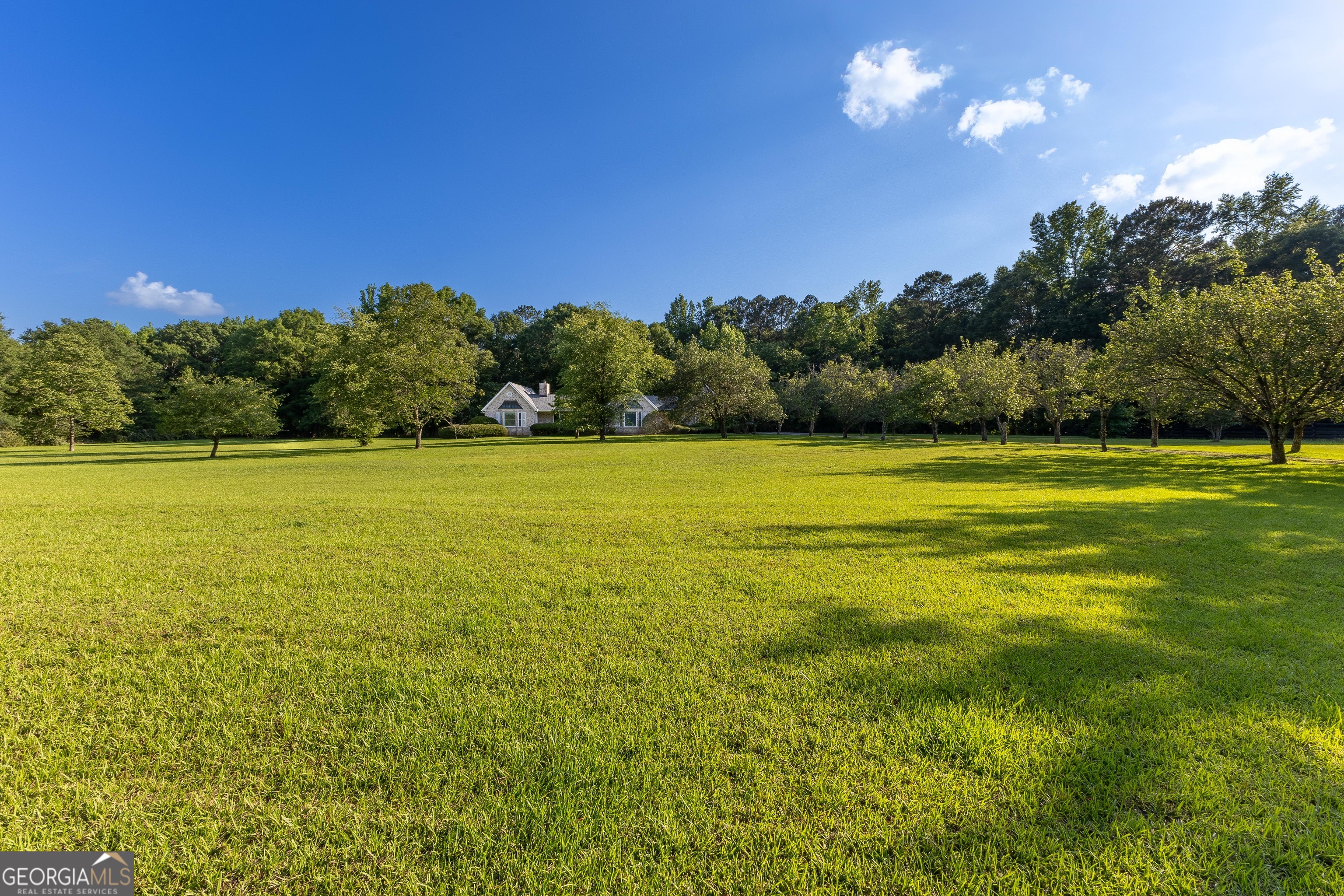 716 Snead Road Fayetteville, GA 30215 - Photo 54 of 55