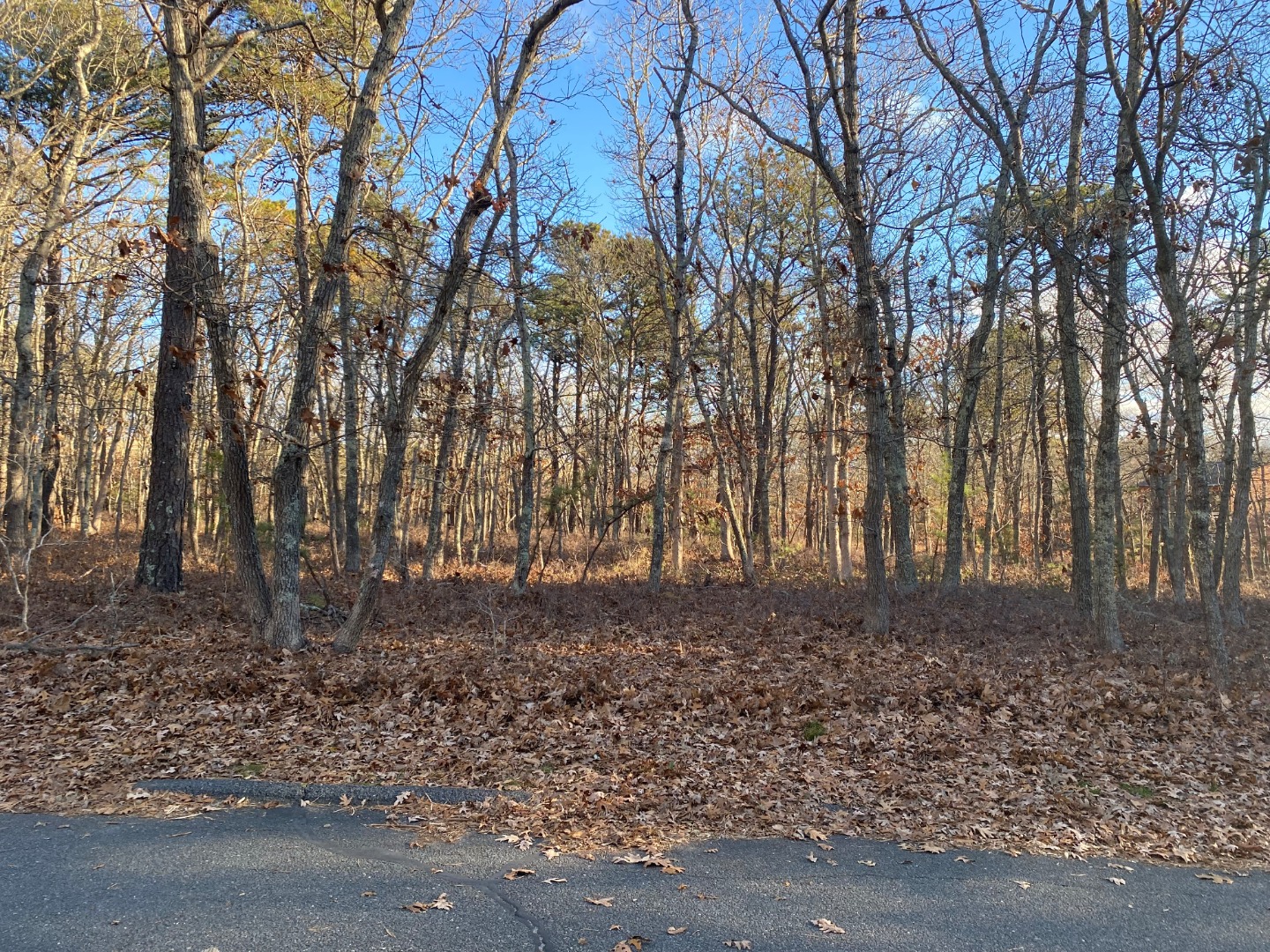 27 Tower Ridge Road Oak Bluffs, MA 02557 - Photo 2 of 2 http://d1qzqeyxiitrap.cloudfront.net/photos/35461/15cf5465.jpg
