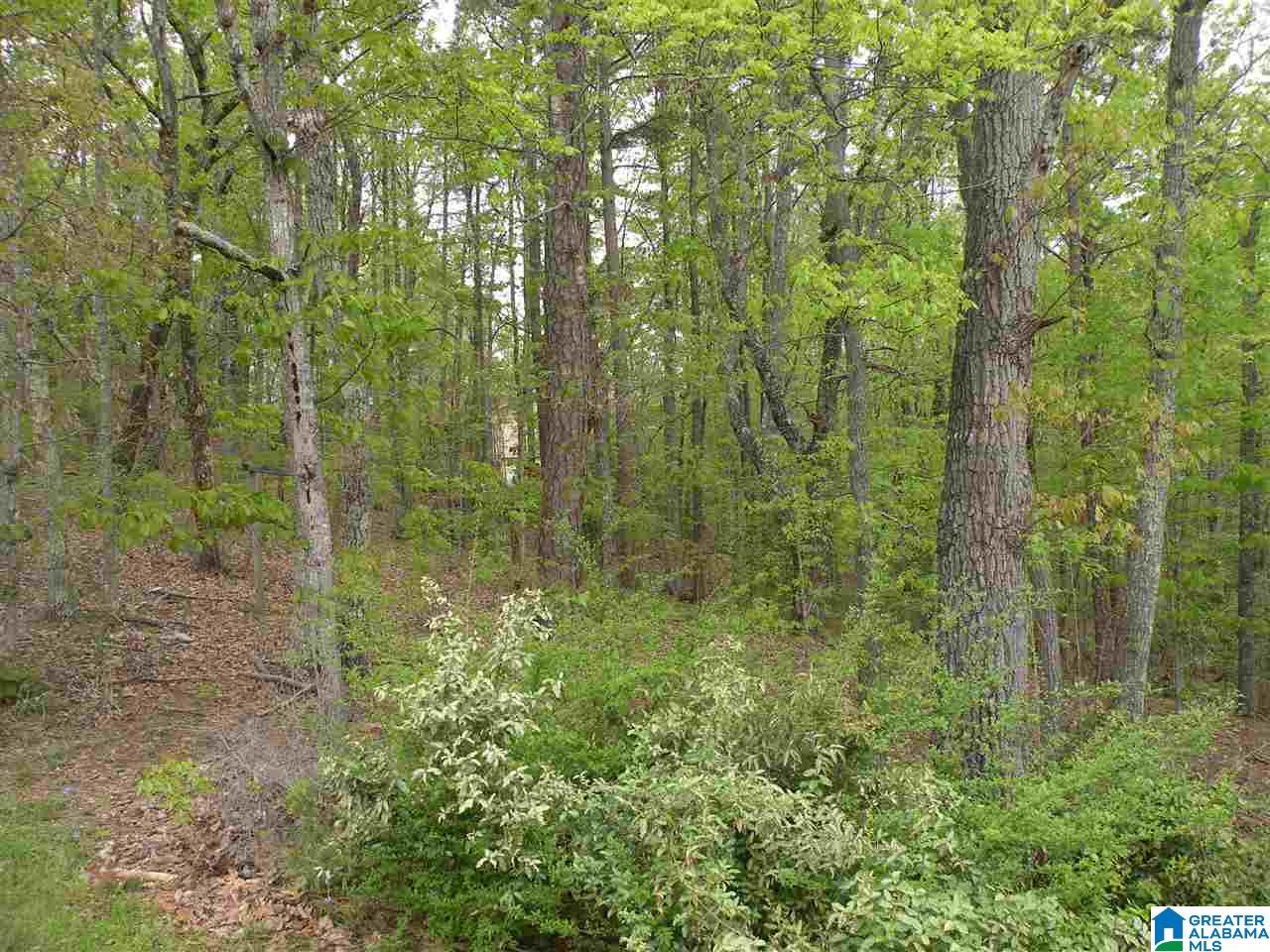 1406 Fox Run Sylacauga, AL 35150 - Photo 32 of 33