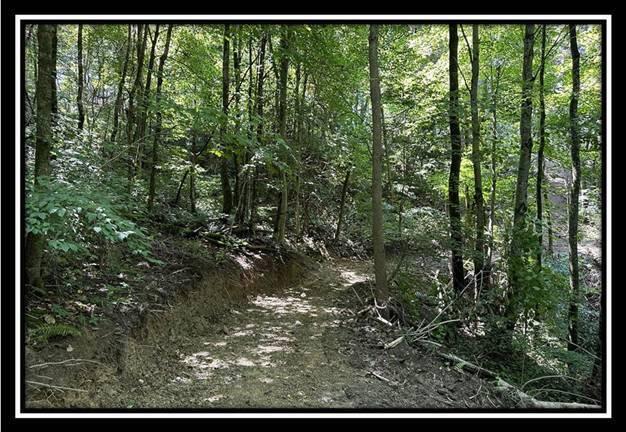 0 Old State Road, Unit TRACT 5) Crooksville, OH 43731 - Photo 11 of 36 image011