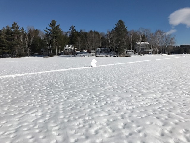 10 Point Drive Unity, NH 03773 - Photo 3 of 16 Gallery Image 3