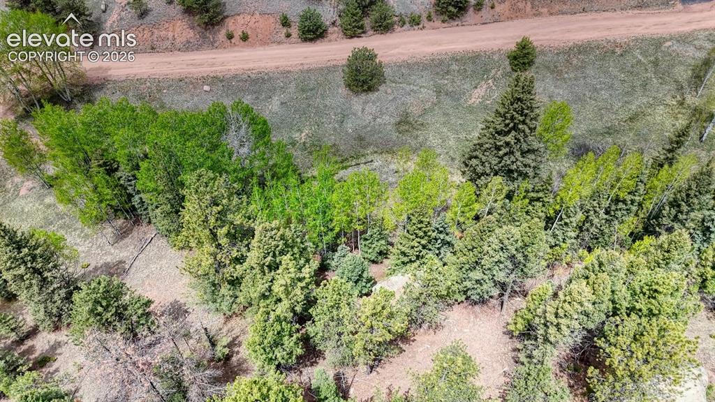 42 Rabbit Circle Florissant, CO 80816 - Photo 9 of 20 a view of a yard with plants