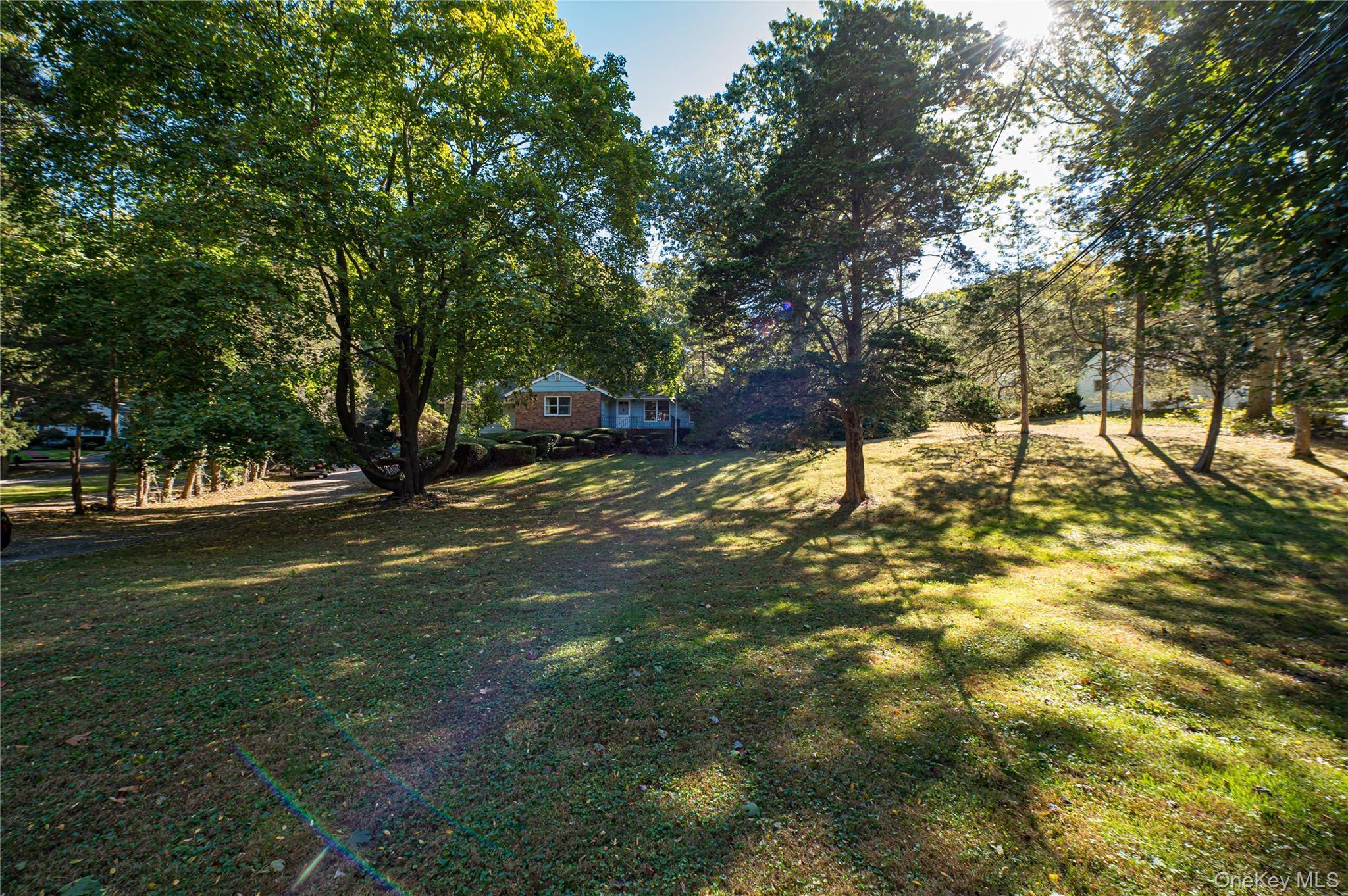 562 Old Bridge Road Northport, NY 11768 - Photo 5 of 25 a view of yard with tree