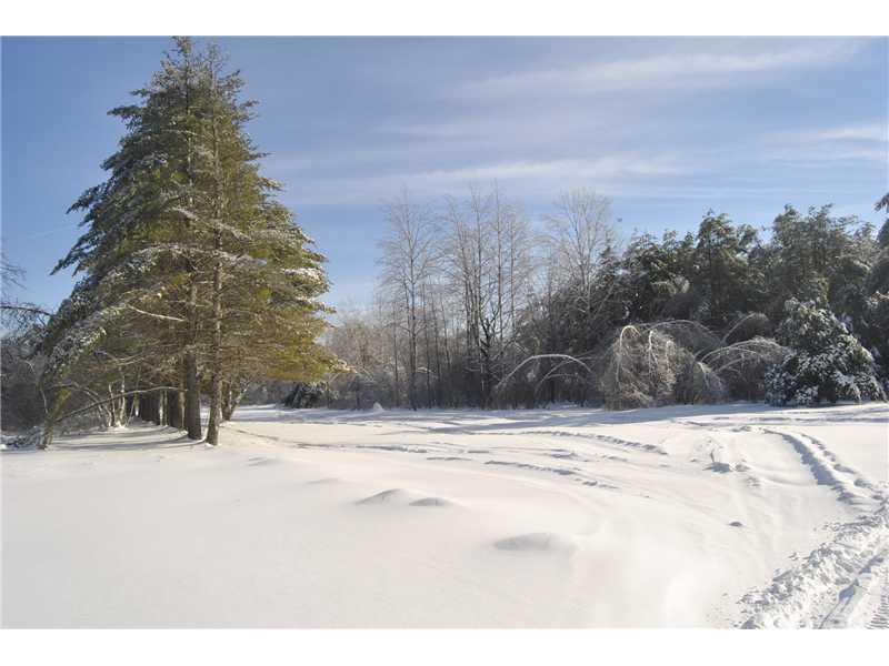 394 Brewer Lake Road Orrington, ME 04474 - Photo 5 of 29 Yard/Garden.