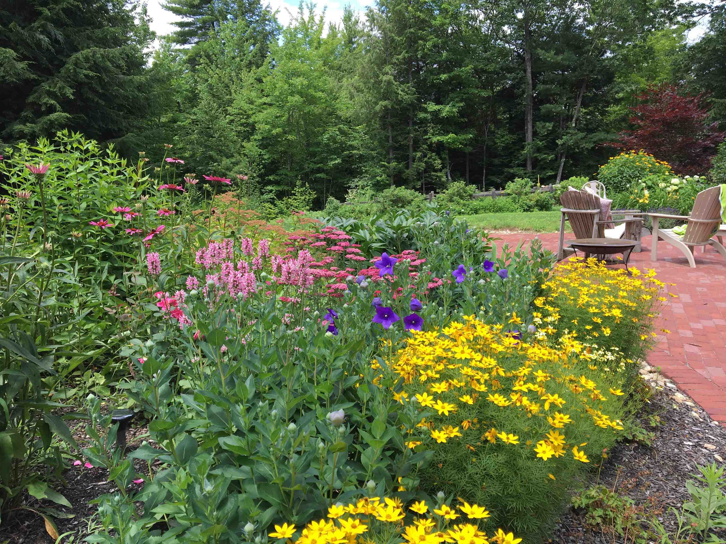 46 Susan Road New Boston, NH 03070 - Photo 25 of 39