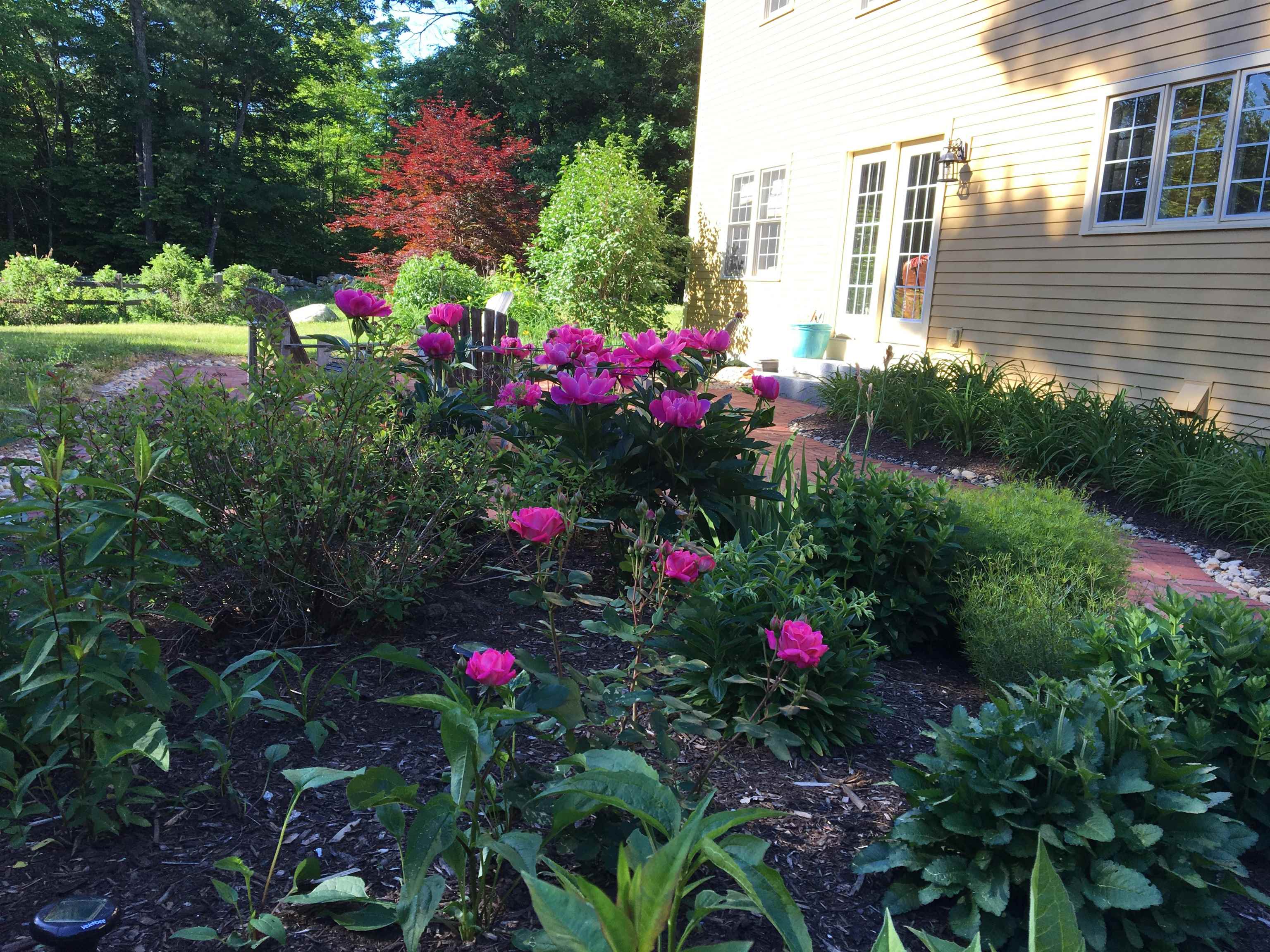 46 Susan Road New Boston, NH 03070 - Photo 27 of 39