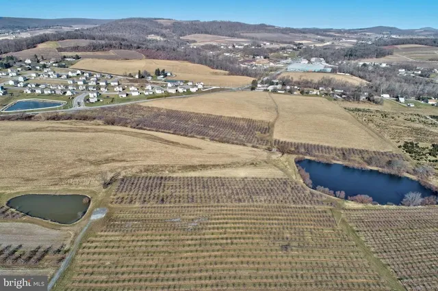 a view of an ocean and a yard