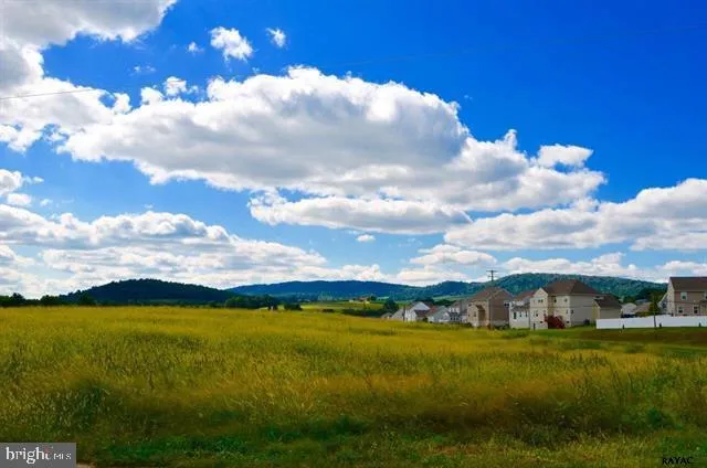 a view of a lush green space