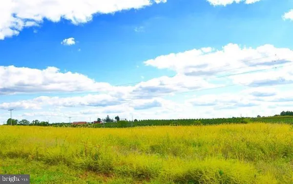 a view of a green field with plants and large trees