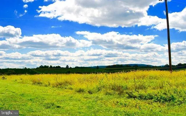 a view of a grassy field with trees