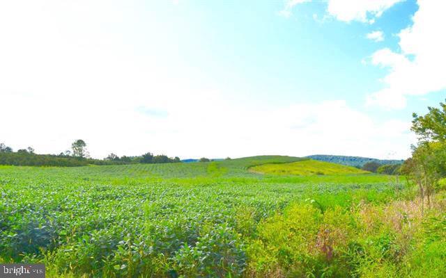 0 Carlisle Road Aspers, PA 17304 - Photo 27 of 31 a view of a green field with plants and large trees