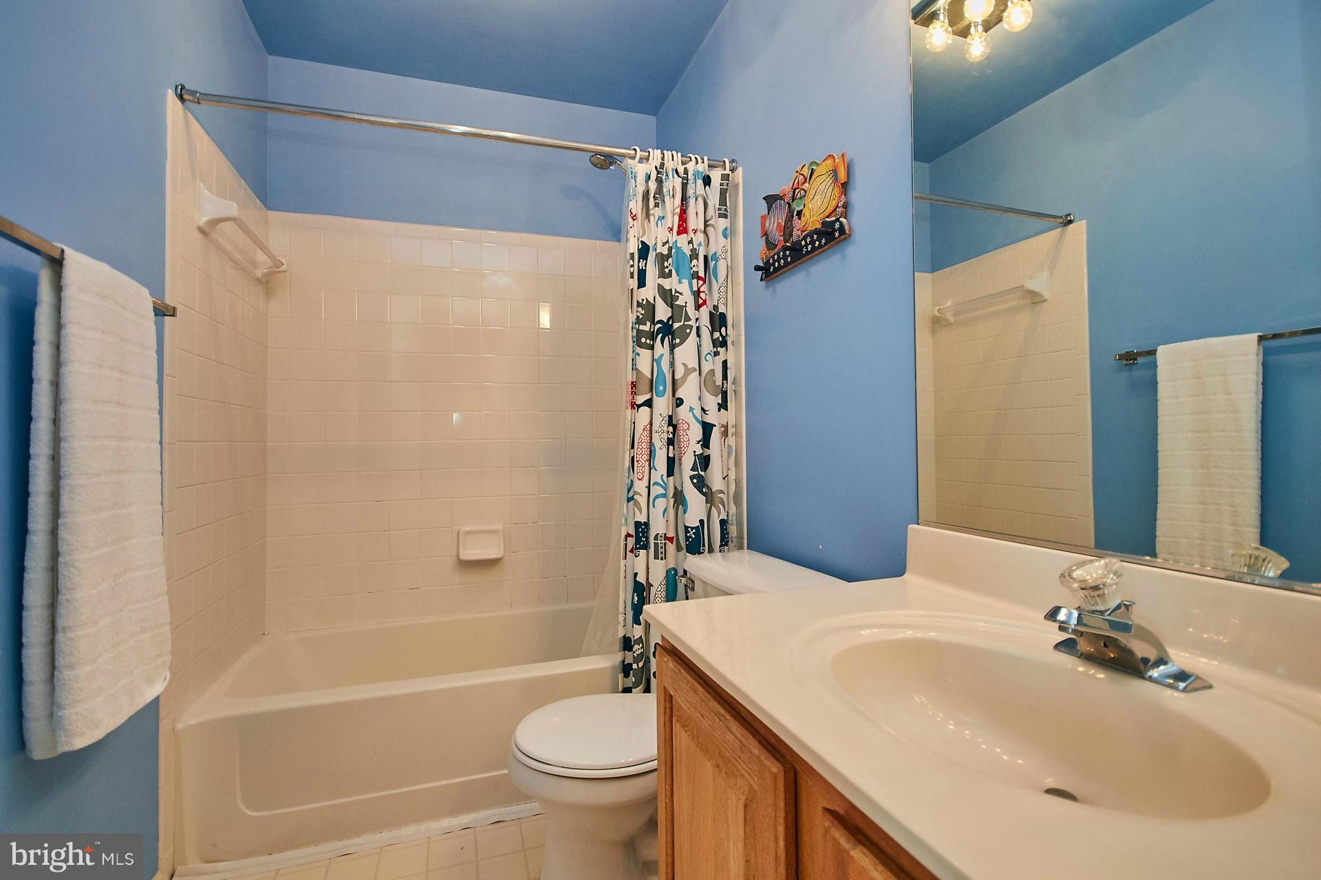 44053 Rising Sun Terrace Ashburn, VA 20147 - Photo 13 of 29 Upper level hall bath