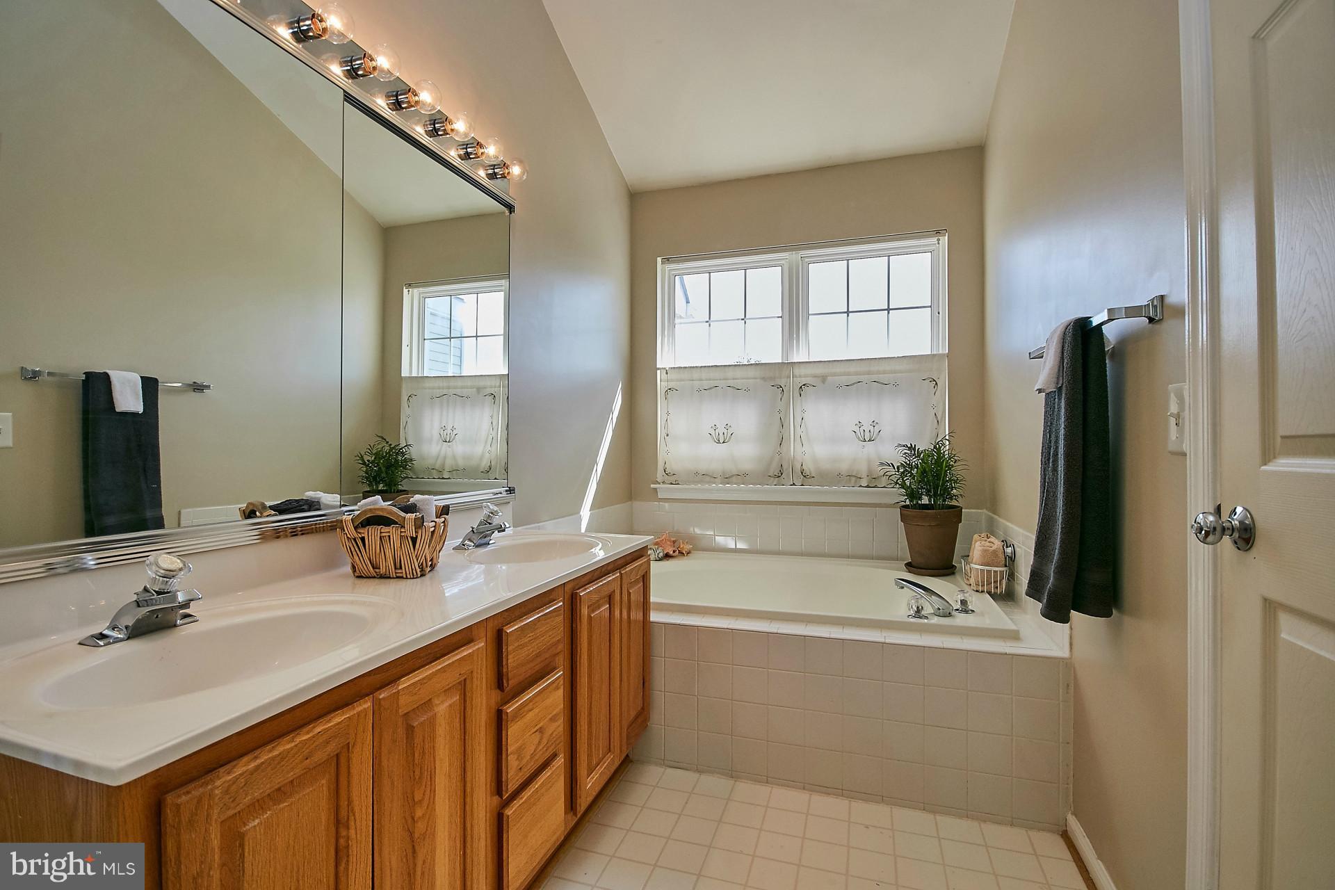 44053 Rising Sun Terrace Ashburn, VA 20147 - Photo 20 of 29 Two sinks