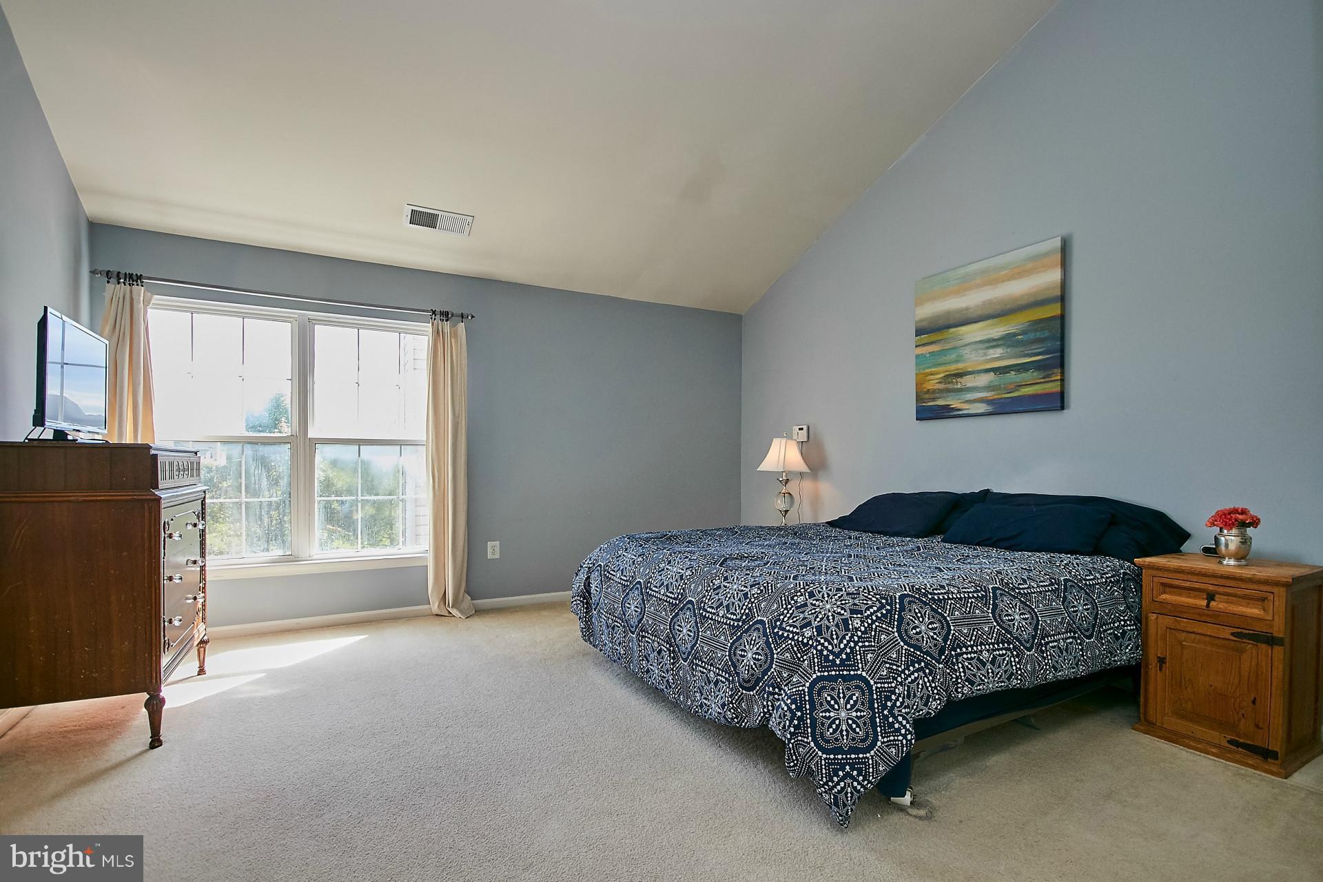 44053 Rising Sun Terrace Ashburn, VA 20147 - Photo 22 of 29 Bath (Master)