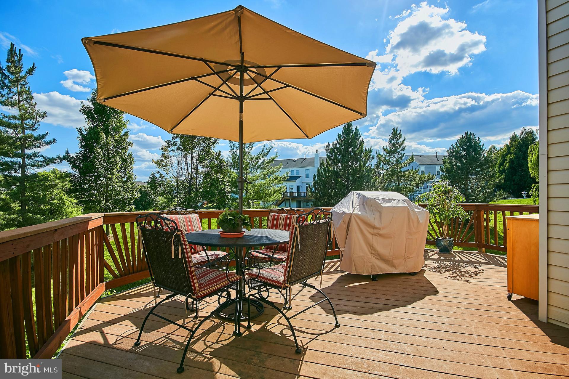 44053 Rising Sun Terrace Ashburn, VA 20147 - Photo 28 of 29 Deck