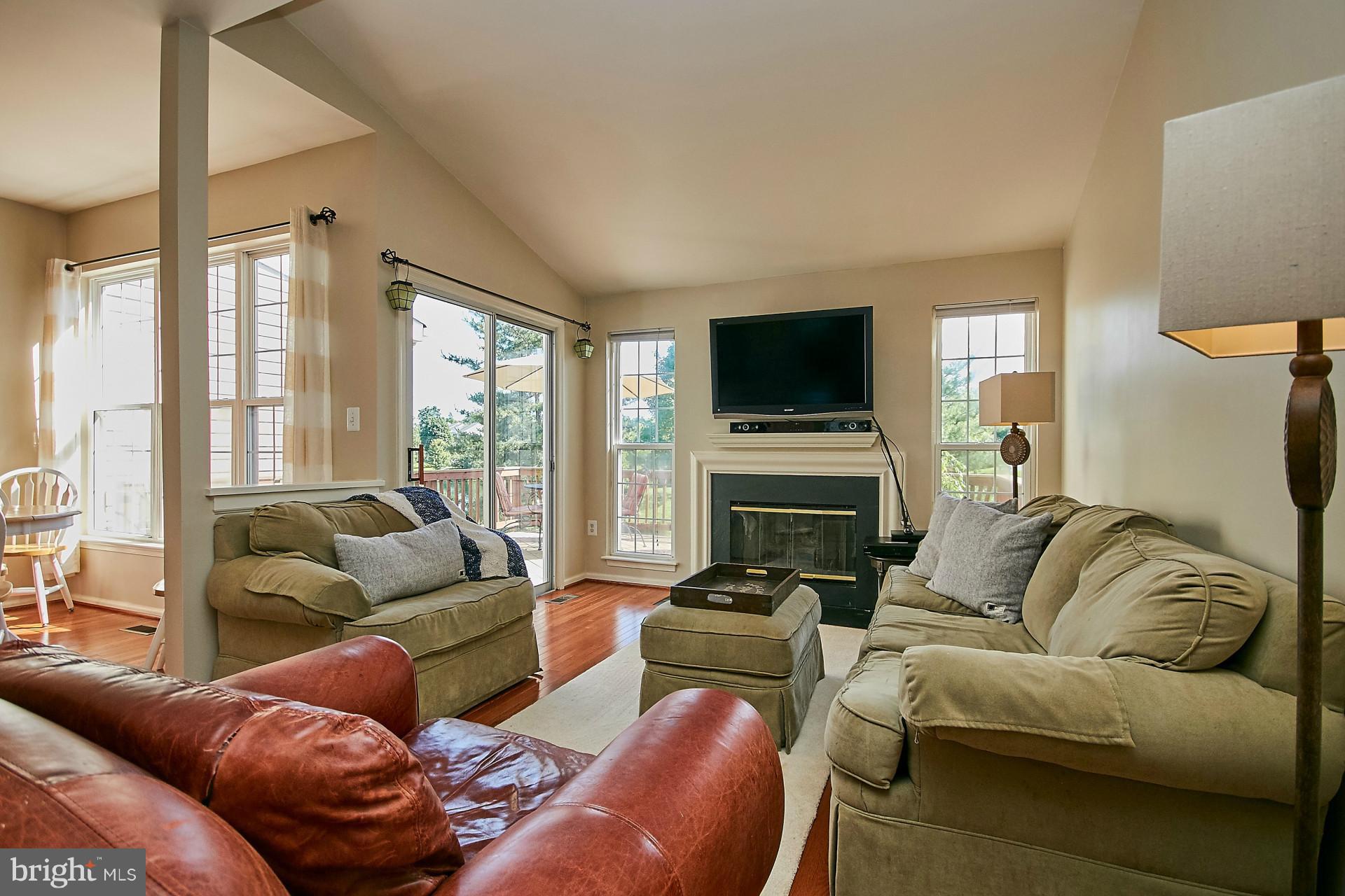 44053 Rising Sun Terrace Ashburn, VA 20147 - Photo 10 of 29 With Gas Fireplace
