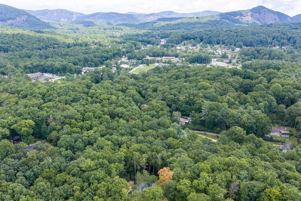 5 Lone Panther Ridge Sylva, NC 28779 - Photo 19 of 19 Gallery Image 19