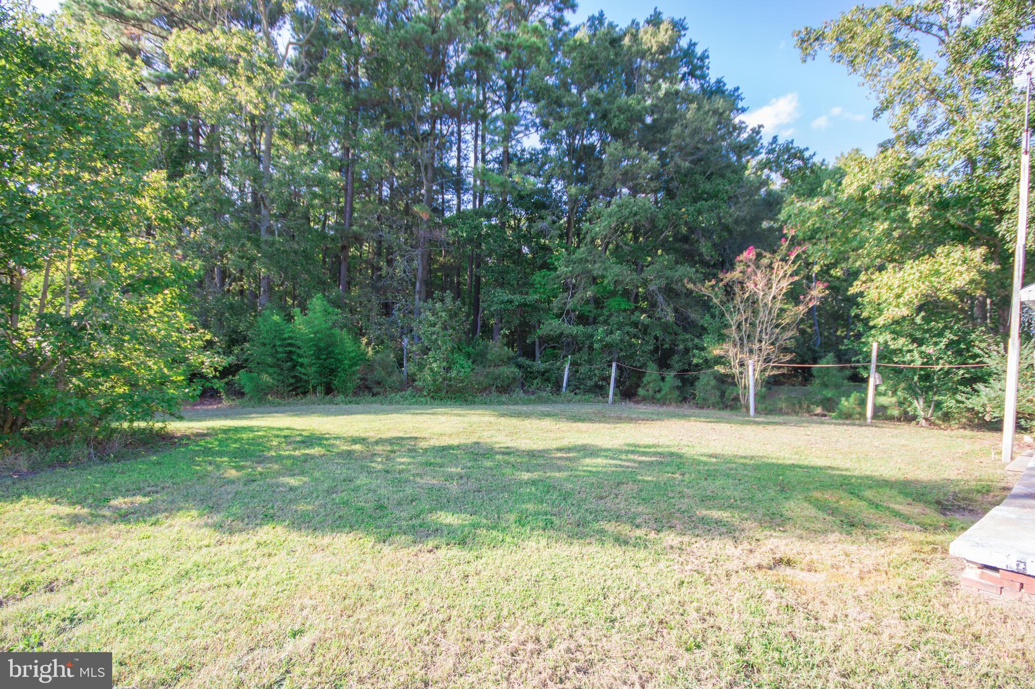 8102 Upper Hill Road Westover, MD 21871 - Photo 48 of 50 Backyard