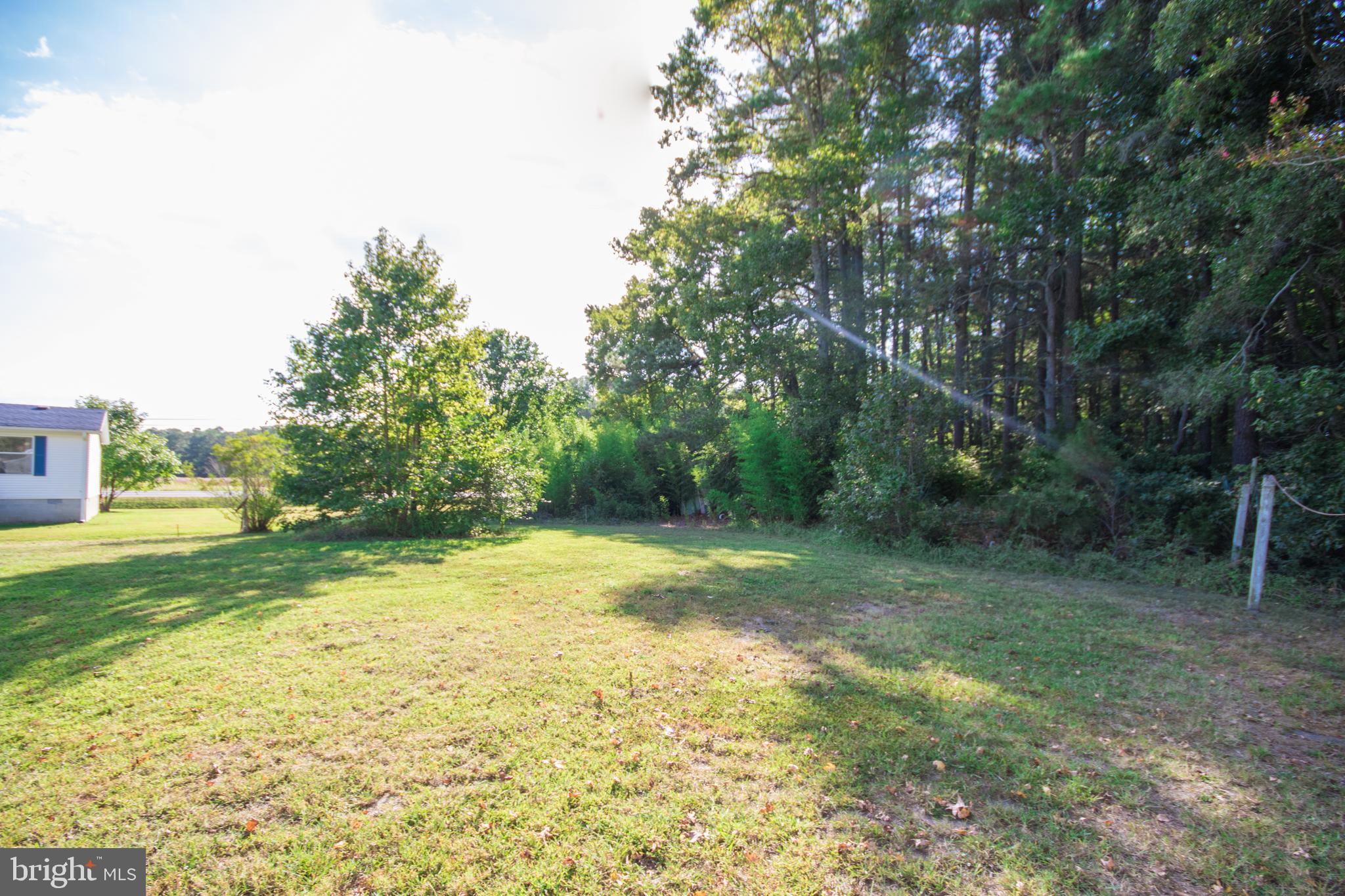 8102 Upper Hill Road Westover, MD 21871 - Photo 49 of 50 Backyard