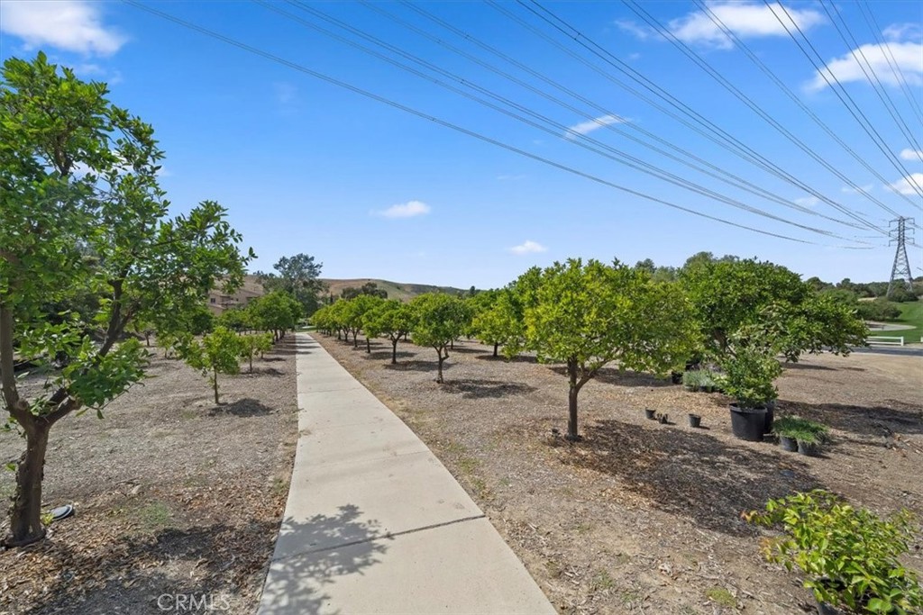 9 Waltham Road Ladera Ranch, CA 92694 - Photo 58 of 68