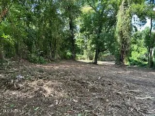 $39,000 | 0 Gillespie Street, Jackson, MS 39202
