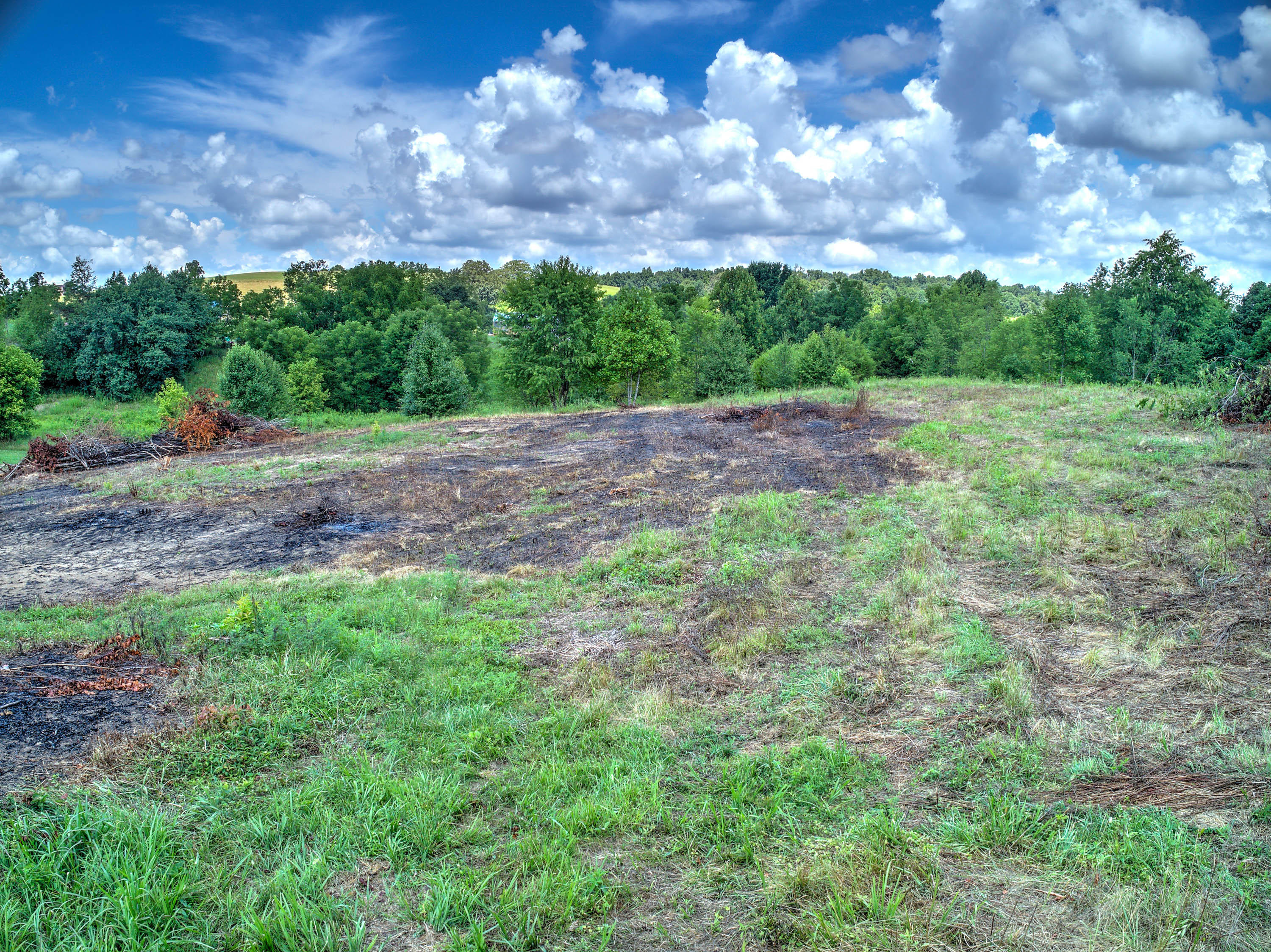 Lot 5 R 107 Cutoff, Unit 5R Greeneville, TN 37743 - Photo 6 of 19 TN-107 Cutoff-4