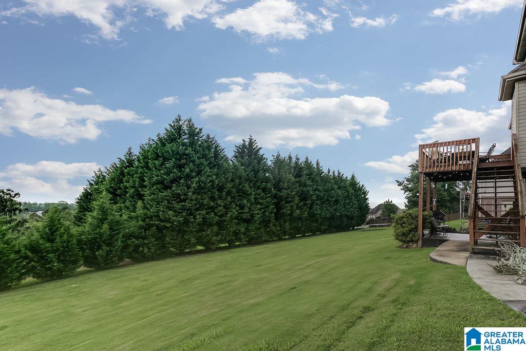 1075 Summit Ridge Way Odenville, AL 35120 - Photo 20 of 20