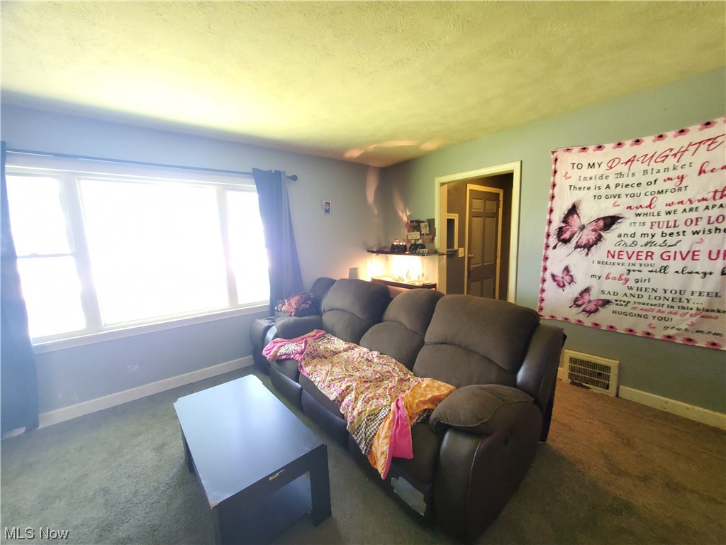 6626 Lake State Road Ashtabula, OH 44004 - Photo 8 of 35 Gallery Image 8