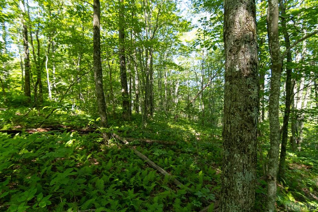 Lot 6 East Ridge Road Cashiers, NC 28717 - Photo 3 of 28 Gallery Image 3