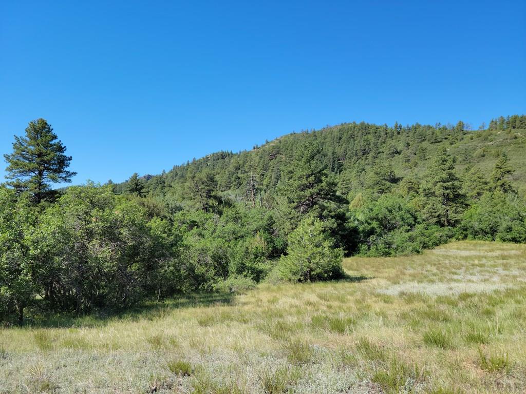 Tbd Haynes Road South Beulah, CO 81023 - Photo 12 of 17