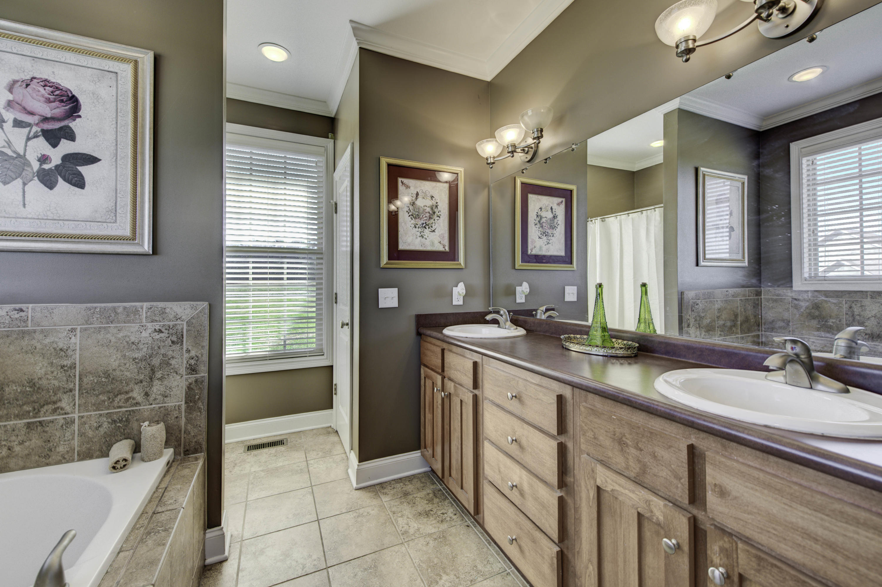 1744 Craigs Chapel Road Greenback, TN 37742 - Photo 12 of 24 Master Bath