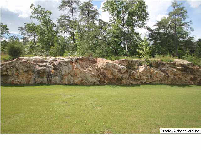 539 Twin Creek Road Birmingham, AL 35226 - Photo 31 of 32
