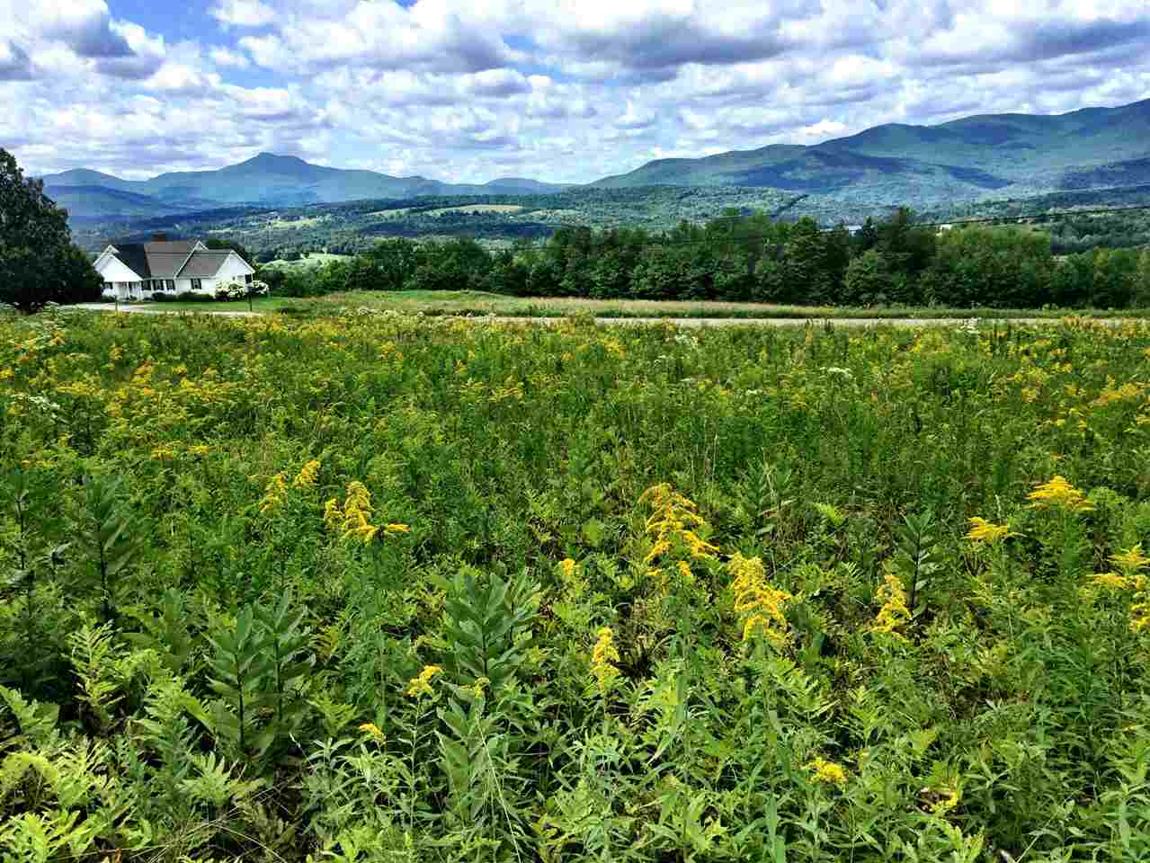 0 Valley View Road Waterbury Center, VT 05677 - Photo 1 of 24 Gallery Image 1