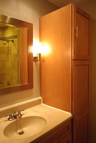 4711 St Joseph Creek Road, Unit 3E Lisle, IL 60532 - Photo 15 of 21