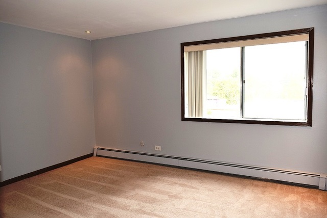 4711 St Joseph Creek Road, Unit 3E Lisle, IL 60532 - Photo 17 of 21