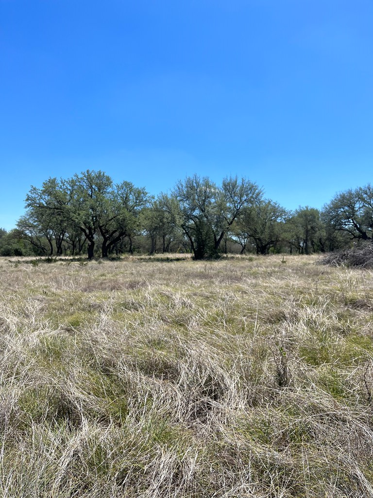 0 County Road 454, Unit 3 Rochelle, TX 76872 - Photo 8 of 11 Gallery Image 8