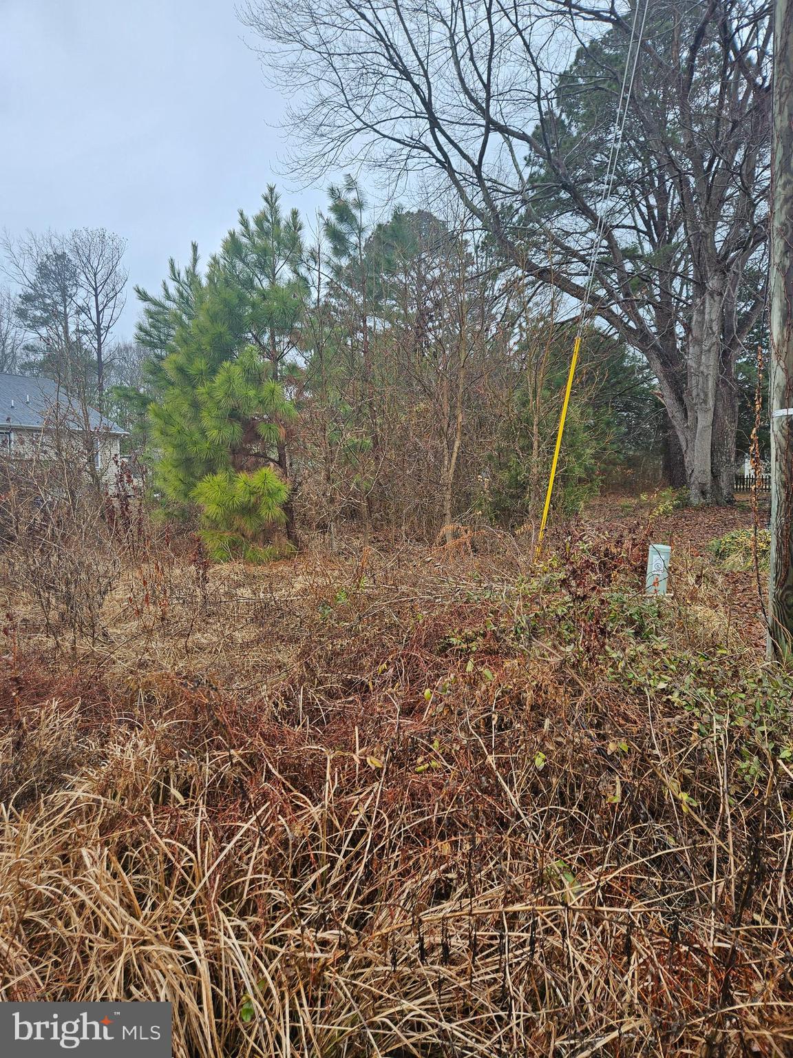 -randall Rd Randall Road Colonial Beach, VA 22443 - Photo 3 of 3 a backyard of a house with lots of green space