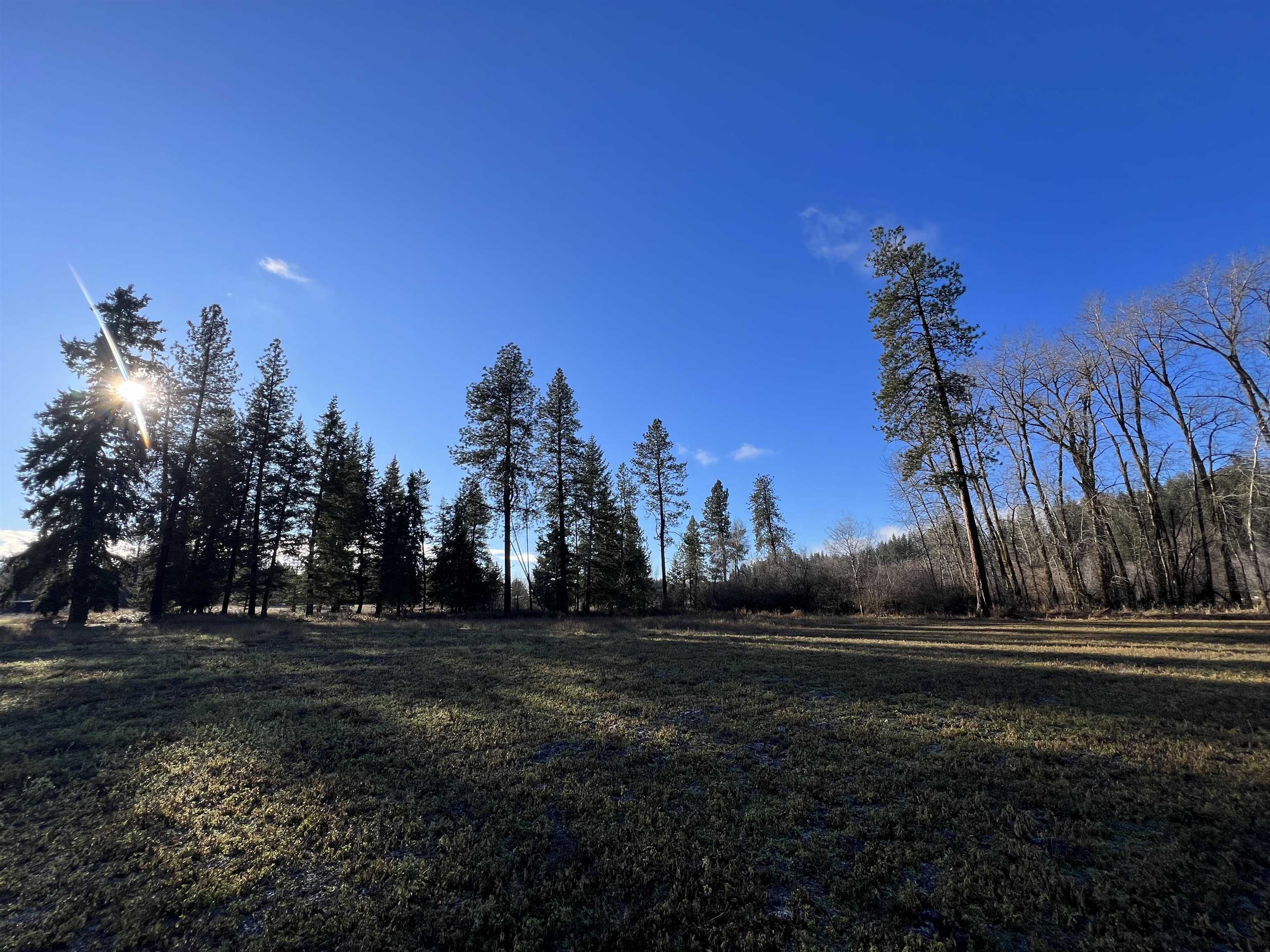 38300 North Valley Road Chattaroy, WA 99003 - Photo 5 of 12 Gallery Image 5
