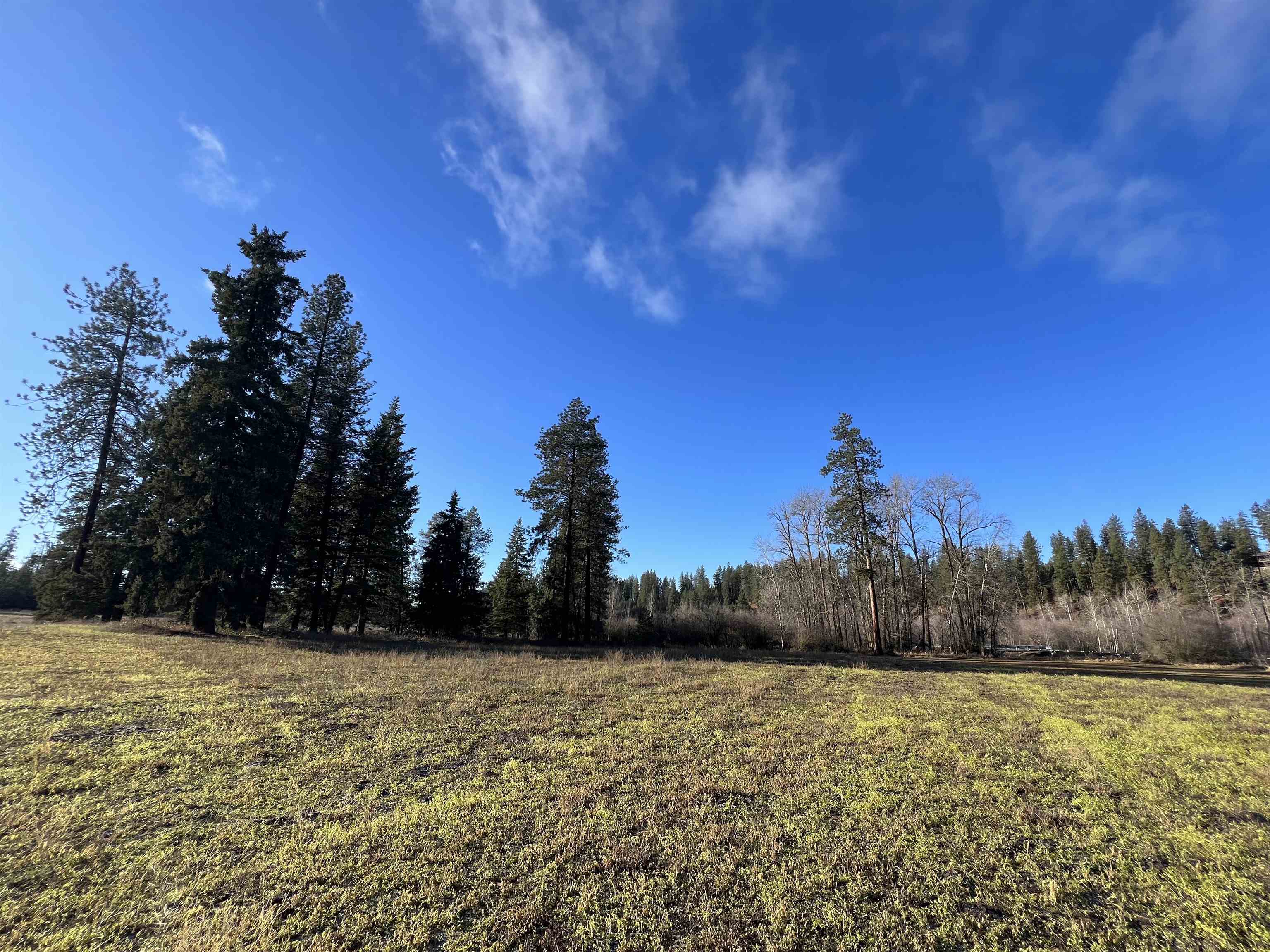 38300 North Valley Road Chattaroy, WA 99003 - Photo 9 of 12 Gallery Image 9