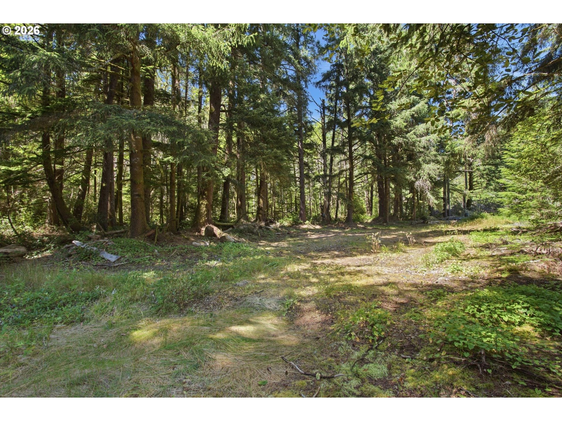 9905 Sandridge Road Long Beach, WA 98631 - Photo 6 of 21 Gallery Image 6