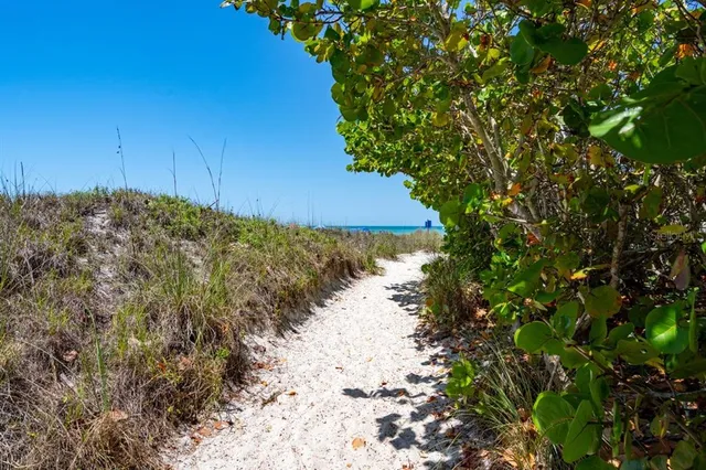a view of a yard with plants and wooden fence