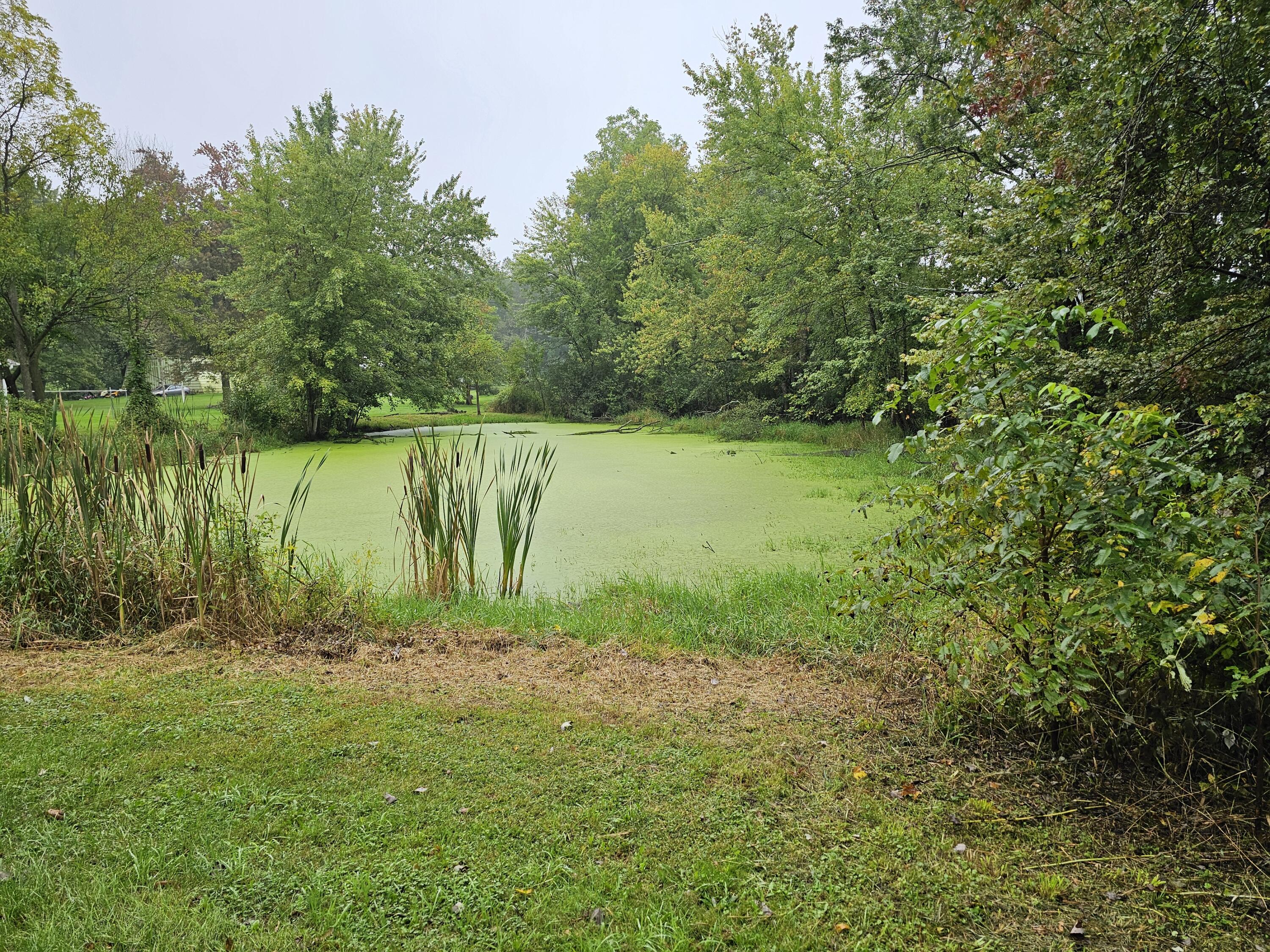 0 Vrooman Road Jackson, MI 49201 - Photo 25 of 27 Future pond site